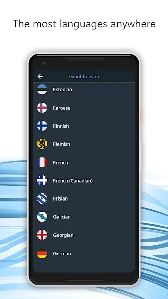 Learn 163 Languages | Bluebird screenshot 5