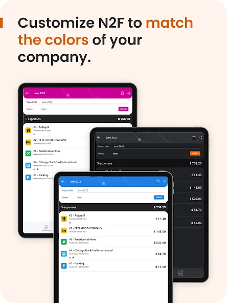 N2F - Expense Reports screenshot 16