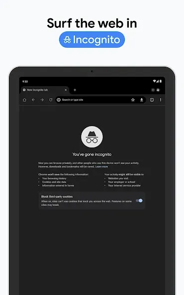 Google Chrome 浏览器 screenshot 29