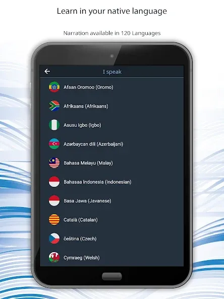 Learn 163 Languages | Bluebird screenshot 20