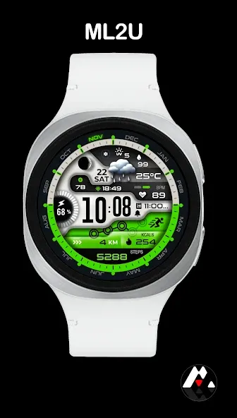 ML2U 339 Watch Face screenshot 3