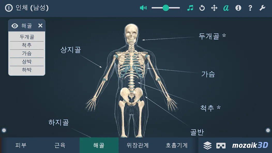 인체 (남성) screenshot 3