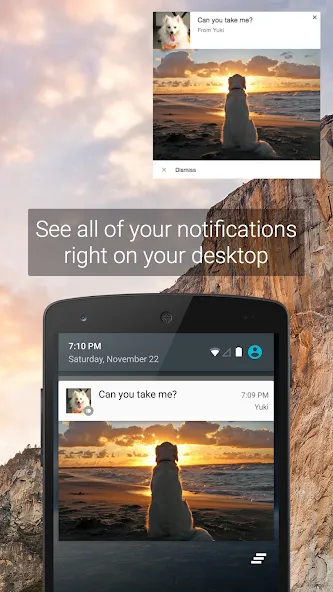 Pushbullet: SMS on PC and more screenshot 3