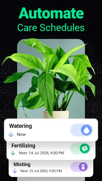 Plantum - Plant Identifier screenshot 3