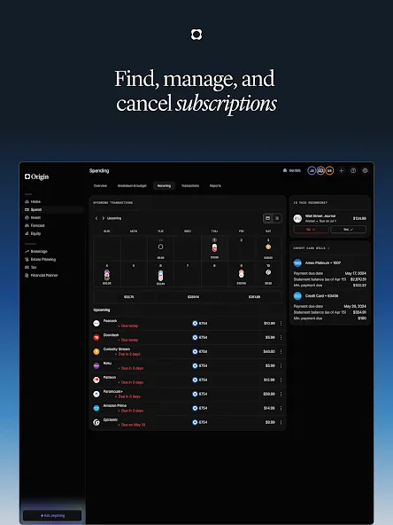 Origin: AI Budget & Track screenshot 19