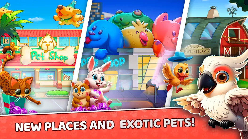 Pet Shop Fever: Animal Hotel screenshot 4