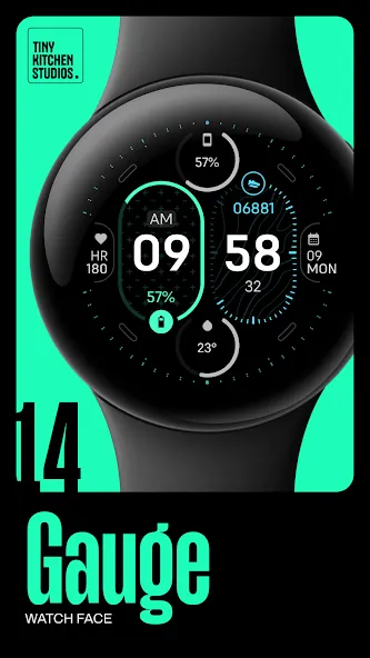 TKS 14 Gauge Watch Face screenshot 1