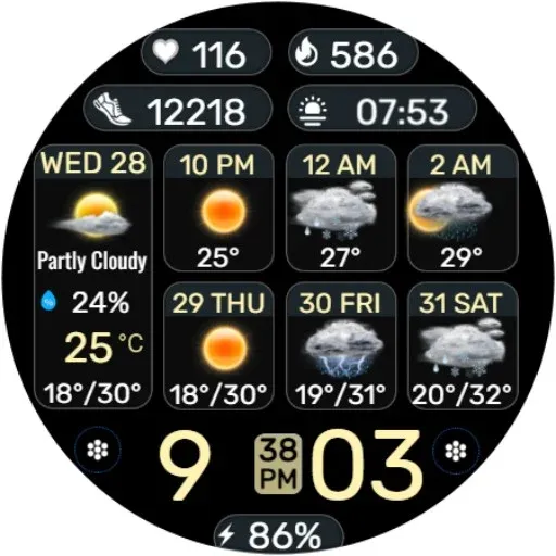 Weather Board 2 Black IW10 screenshot 17