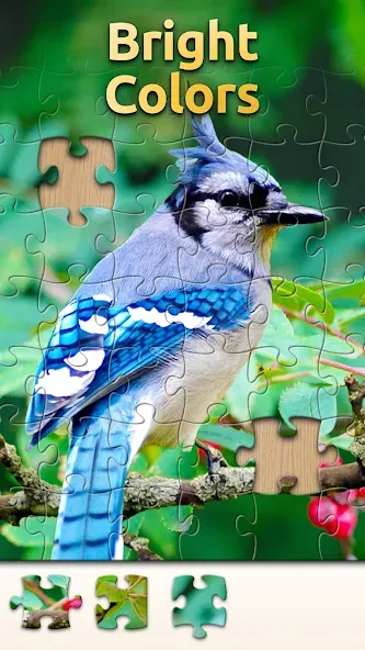 Vita Jigsaw for Seniors screenshot 3
