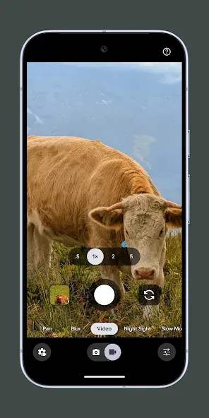 Pixel 相机 screenshot 7