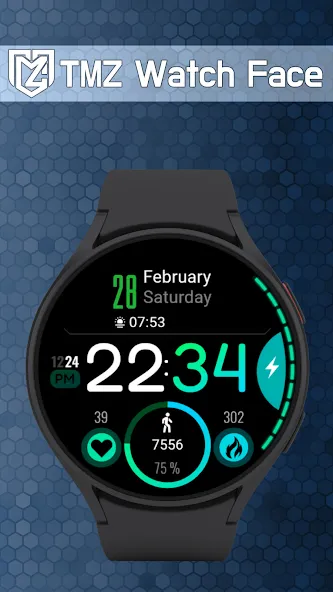 WearOs Amoled Watch Face TMZ screenshot 4