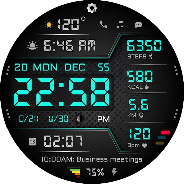 A440 Digital Health Face screenshot 29