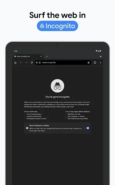 Chrome Beta screenshot 14