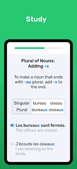 Wlingua - Learn French screenshot 6