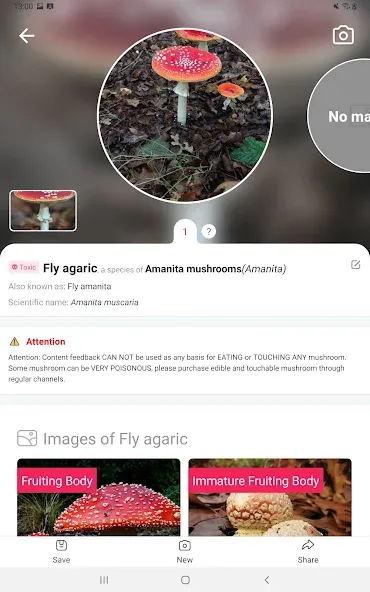 Picture Mushroom - Mushroom ID screenshot 7