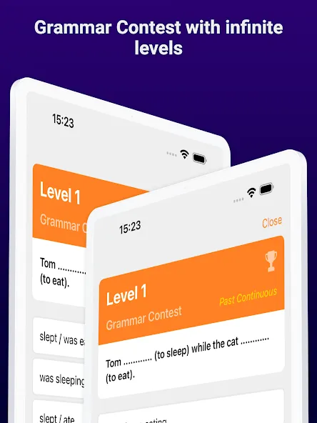 Cambridge English Grammar screenshot 16