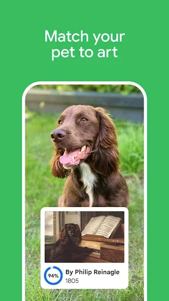 Google 艺术与文化 screenshot 5