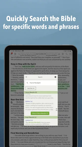 Message Bible by Olive Tree screenshot 16