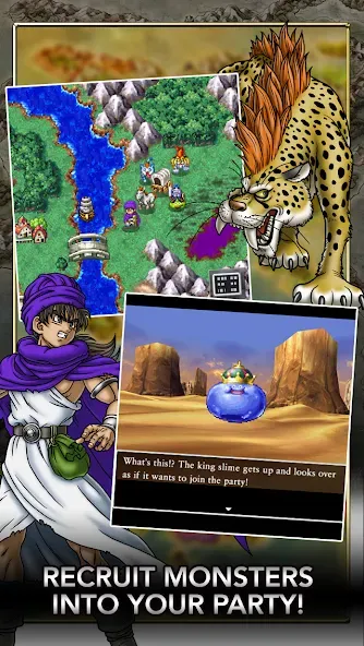 DRAGON QUEST V screenshot 4