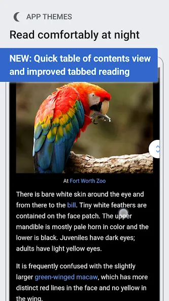 Wikipedia Beta screenshot 1