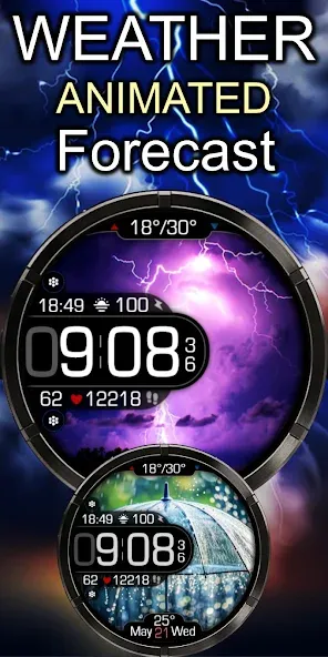Animated Minimal Weather ECO60 screenshot 1