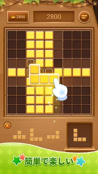 Wood Block Puzzle-SudokuJigsaw screenshot 2