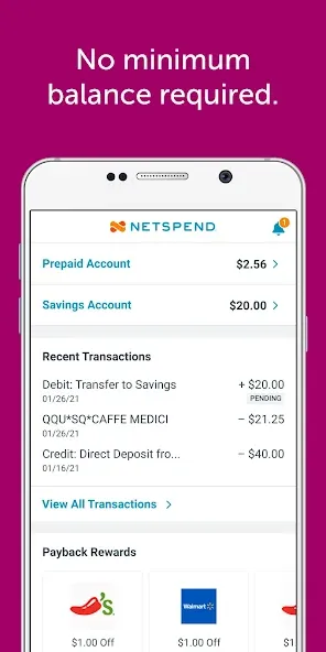 Classic Netspend screenshot 3
