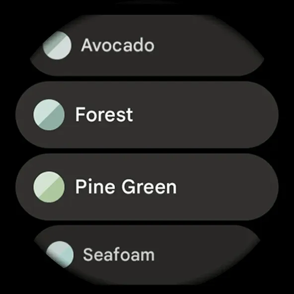 Summit Watch Face screenshot 15