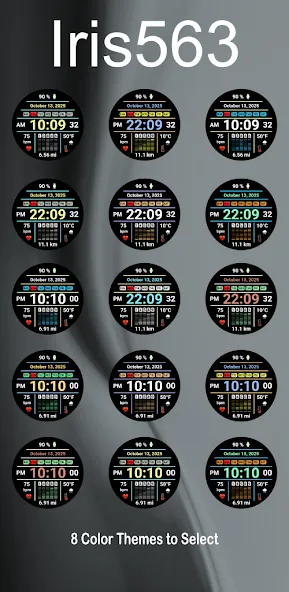 Iris563 Multi-Function Digital screenshot 7