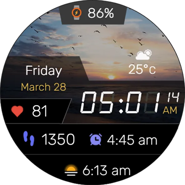 Digitec Pro Watch Face Wear OS screenshot 22