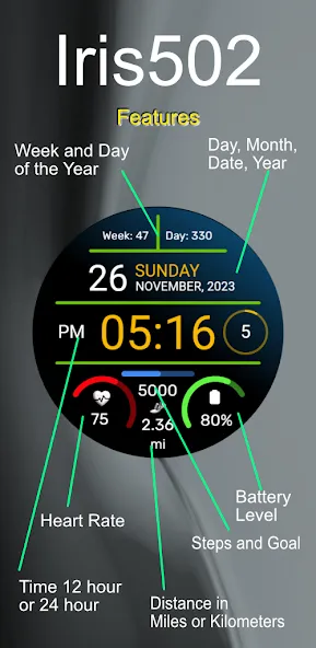 Iris502 Digital Watch Face screenshot 6