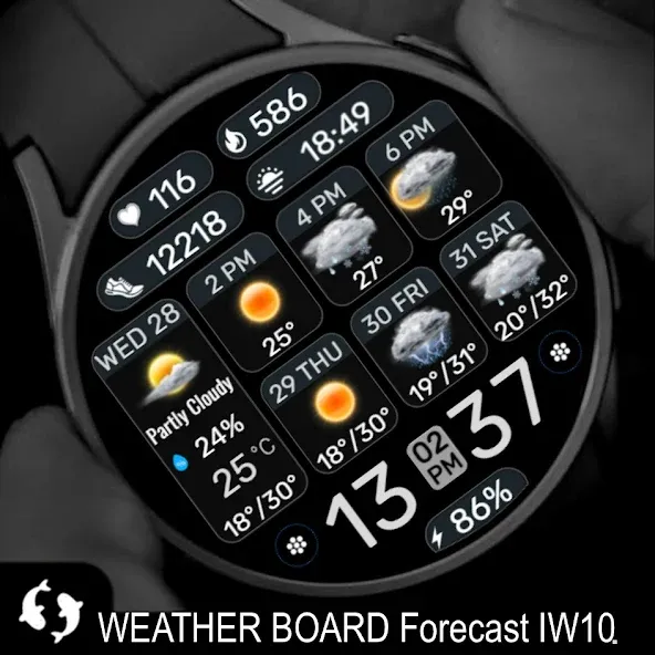 Weather Board 2 Black IW10 screenshot 2