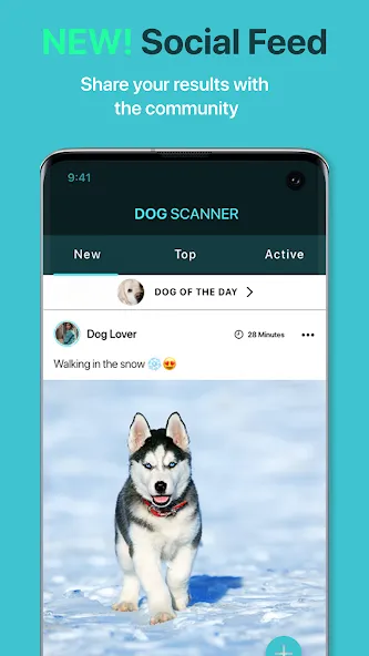 Dog Scanner: Breed Recognition screenshot 4