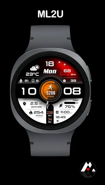 ML2U 293 Watch Face screenshot 5