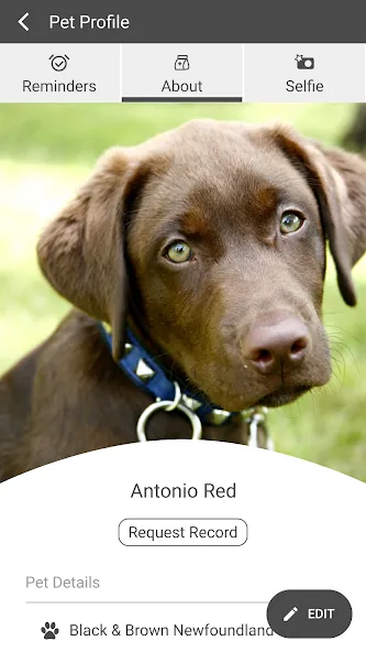 Atlas Pet Clinic screenshot 4