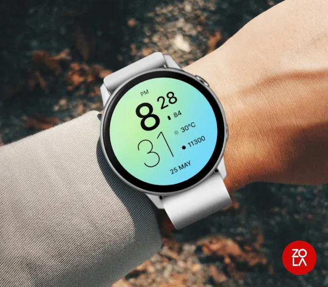 Simply Daylight Watch Face screenshot 3