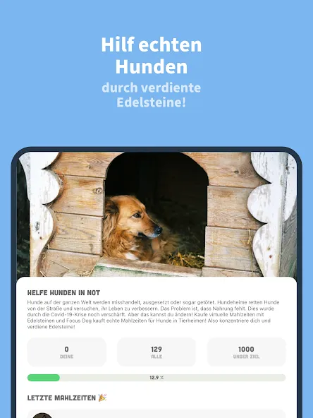Focus Dog: Pomodoro & Timer screenshot 16