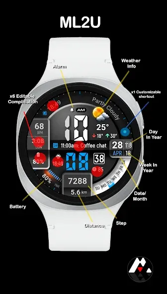 ML2U 413 Active Lifestyle screenshot 2