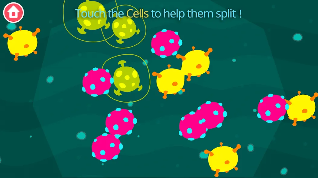 Earth School: Science for kids screenshot 5
