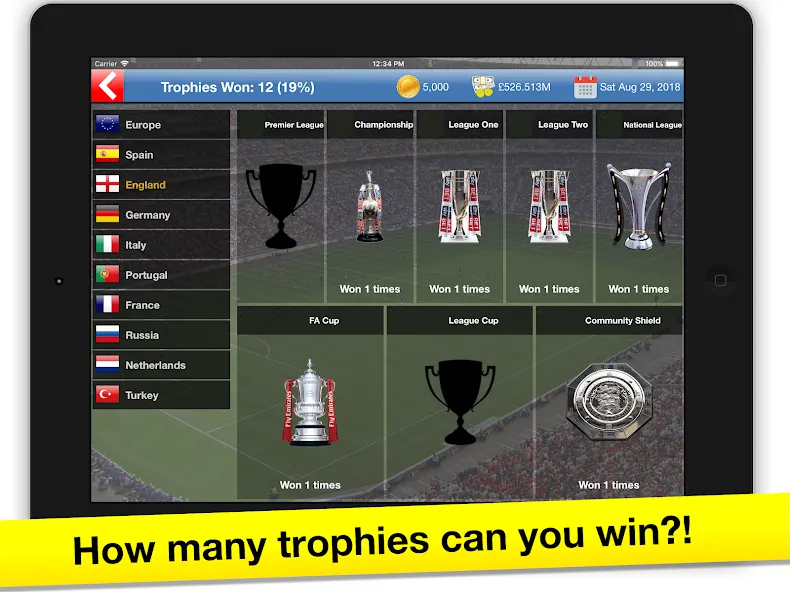 Soccer Tycoon: Football Game screenshot 16