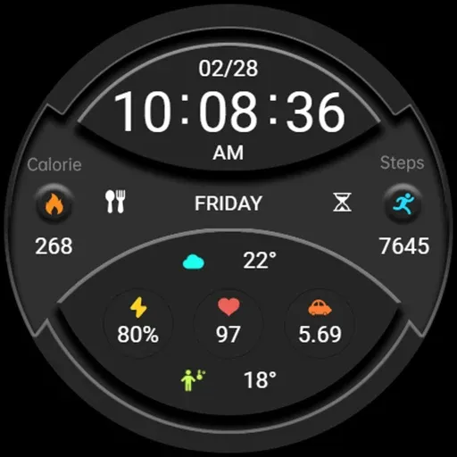 ZKin Watch Dark Gray Component screenshot 7