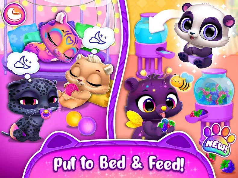 Jungle Floof - Island Pet Care screenshot 15