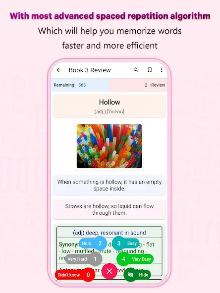 Essential Vocabulary screenshot 5