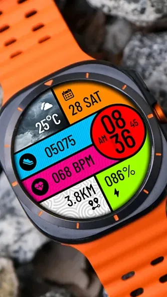 POLO Watch Face screenshot 4