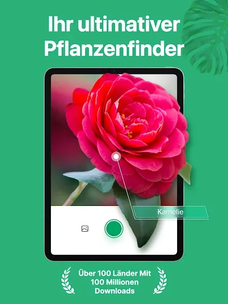 PictureThis:Pflanzen bestimmen screenshot 9
