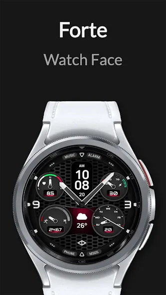 Forte: Hybrid Watch Face screenshot 1