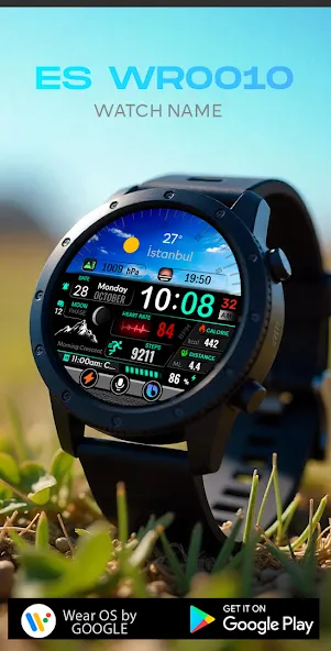 ES WR0010 screenshot 1
