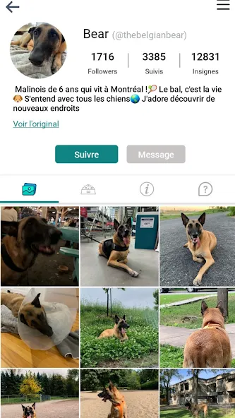 DogPack : Parcs et services screenshot 12