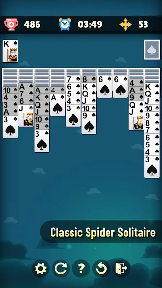 Solitaire Spider Premium screenshot 1