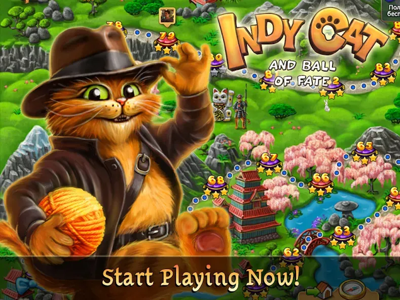 Indy Cat Match 3 screenshot 18